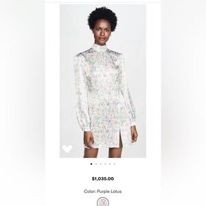 Raquel Diniz silk dress great condition